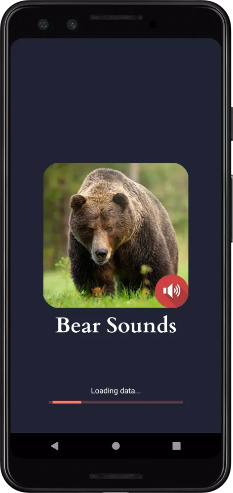 Bear Sounds スクリーンショット