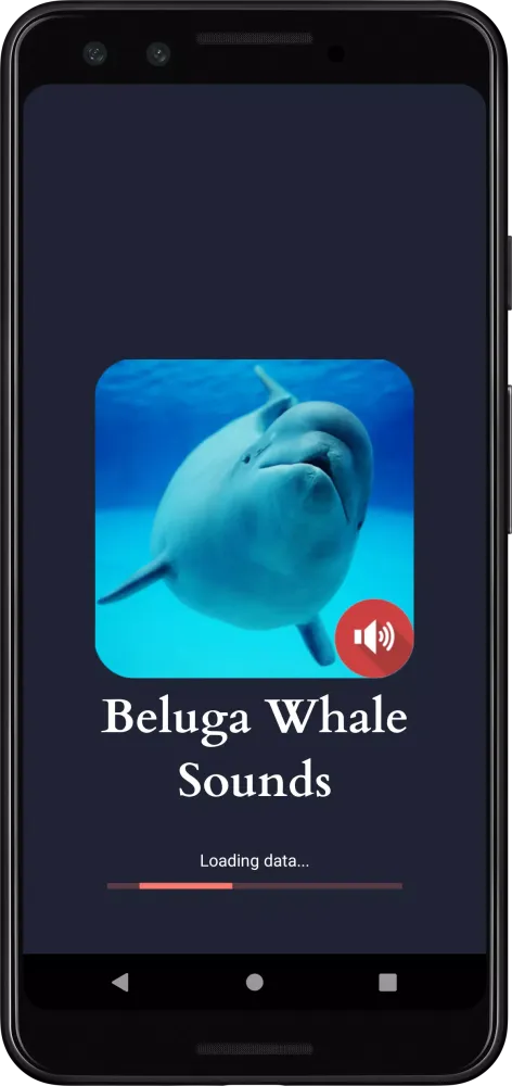 Beluga Whale Sounds Screenshots