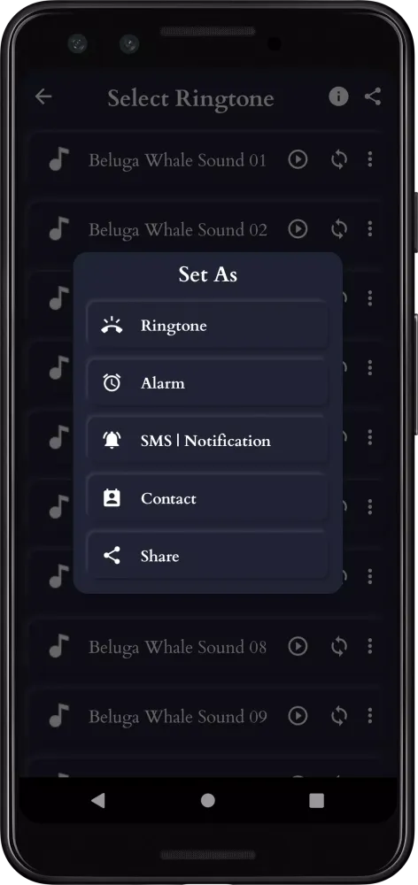Beluga Whale Sounds Screenshots