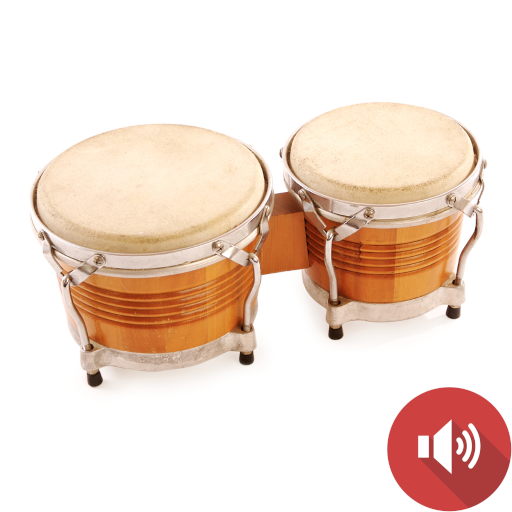Bongo Drum Sounds Bongo Drum Sounds