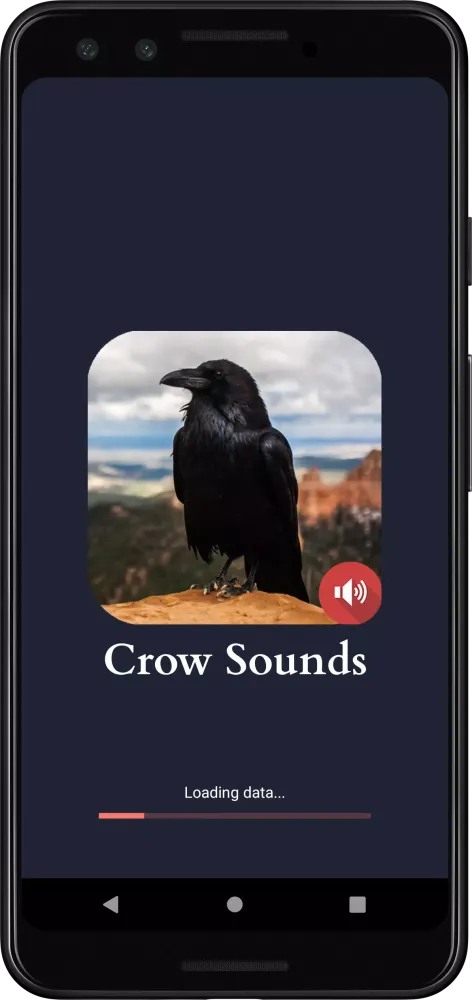 Crow Sounds স্ক্রিনশট