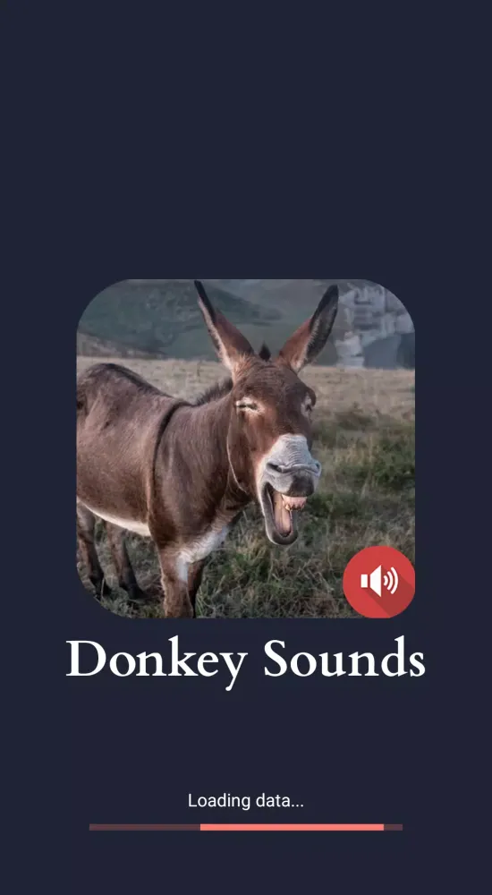 Donkey Sounds Screenshots
