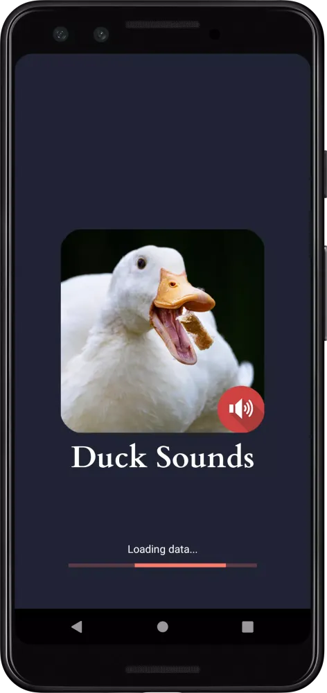 Duck Sounds应用截图