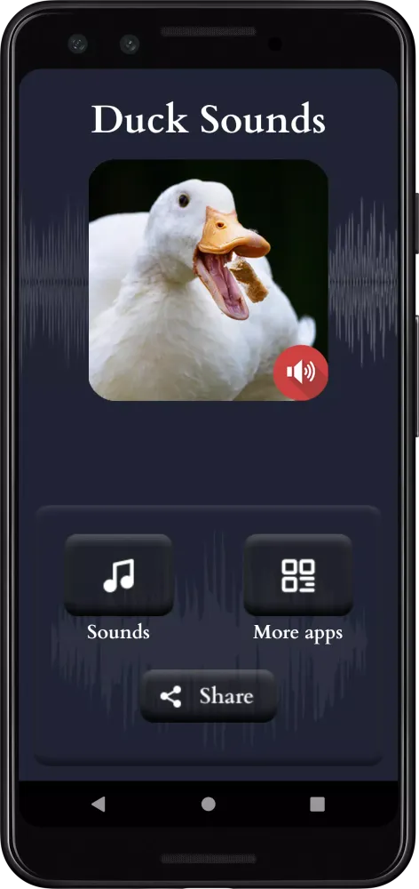 Duck Sounds应用截图