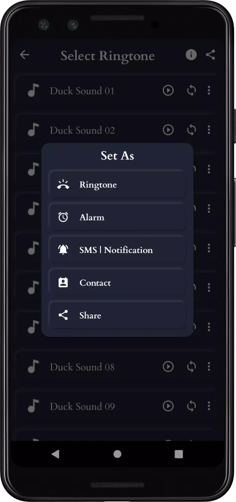 Duck Sounds应用截图