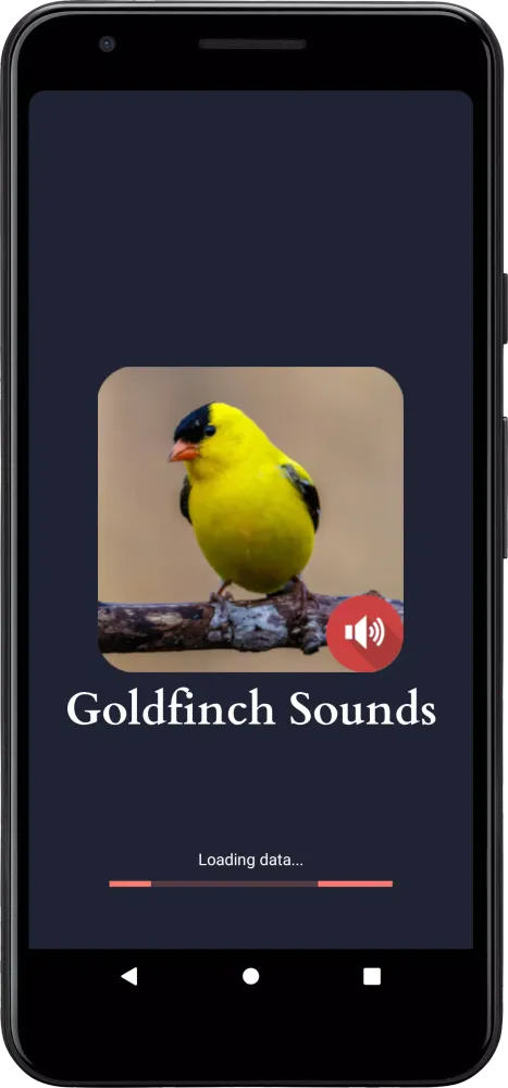 Zrzuty ekranu Goldfinch Sounds
