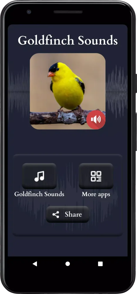 Zrzuty ekranu Goldfinch Sounds