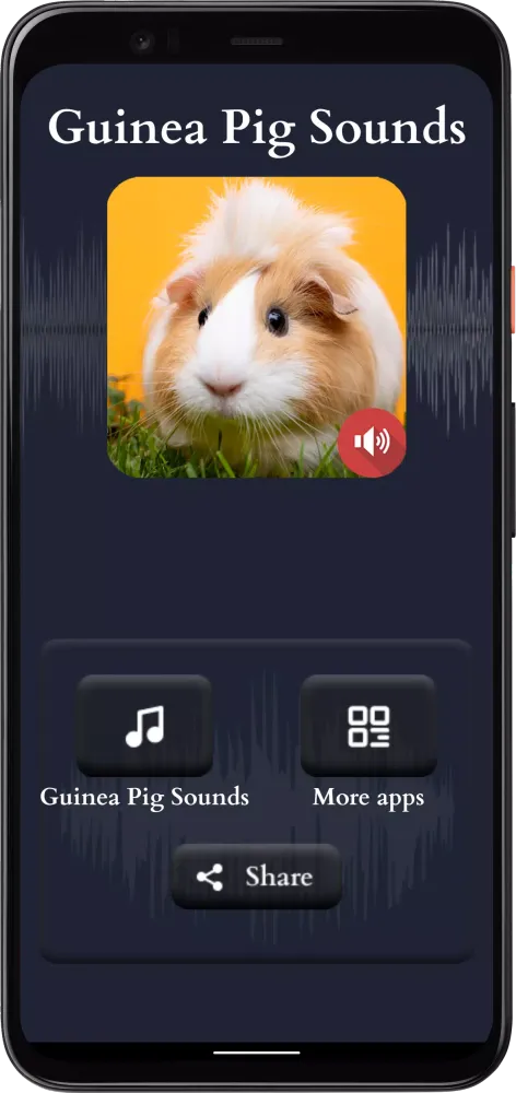 Guinea Pig Sounds スクリーンショット