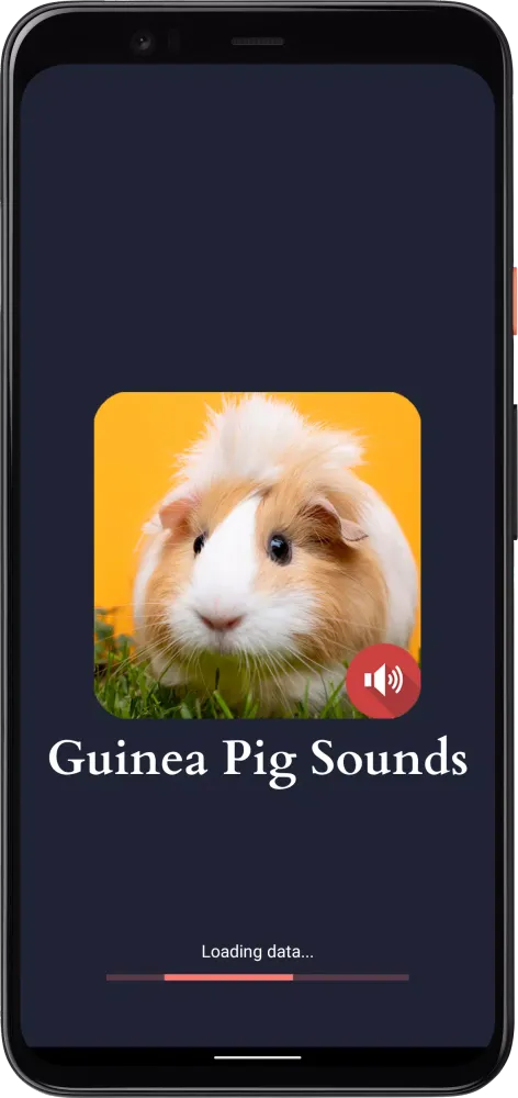 Guinea Pig Sounds スクリーンショット