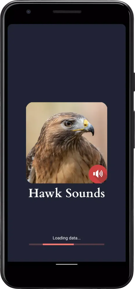 Hawk Sounds Screenshots