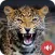 Leopard Sounds