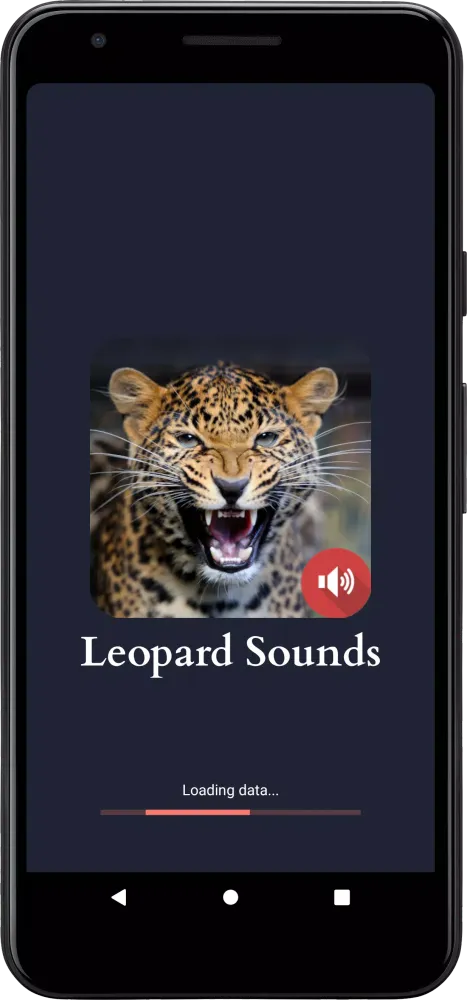 Скриншоты Leopard Sounds