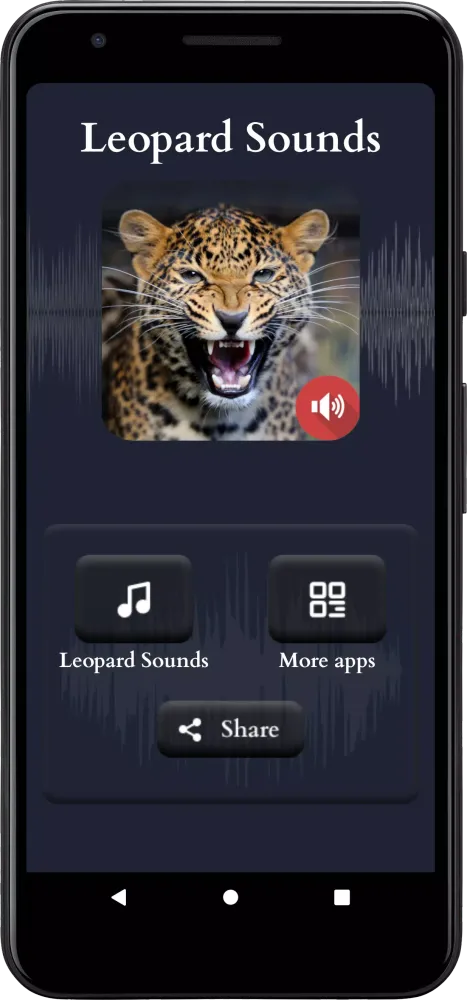 Скриншоты Leopard Sounds
