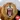 Lion Sounds