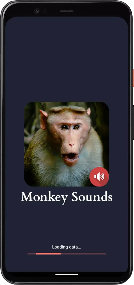 Monkey Sounds Screenshots