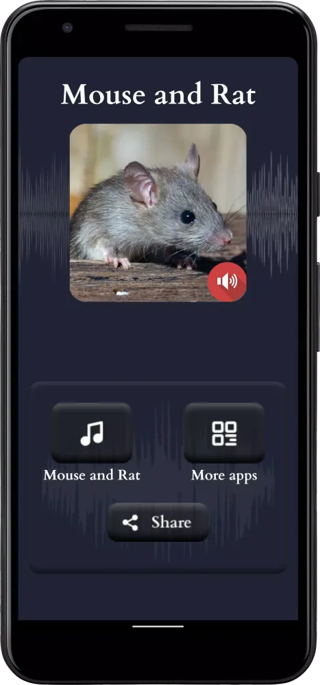 صور Mouse and Rat Sounds