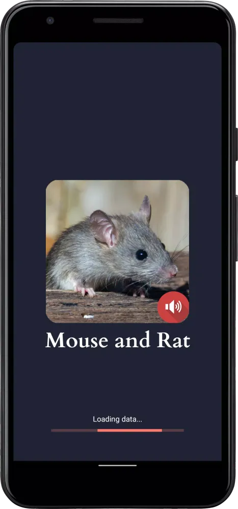 صور Mouse and Rat Sounds