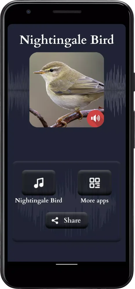 Nightingale Bird Sounds应用截图