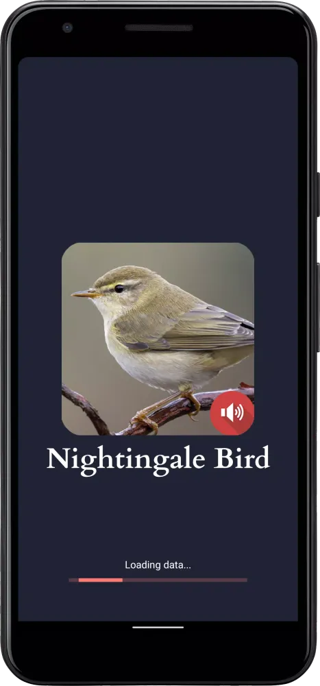 Nightingale Bird Sounds应用截图