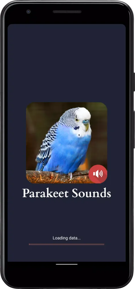 Parakeet Sounds Screenshots