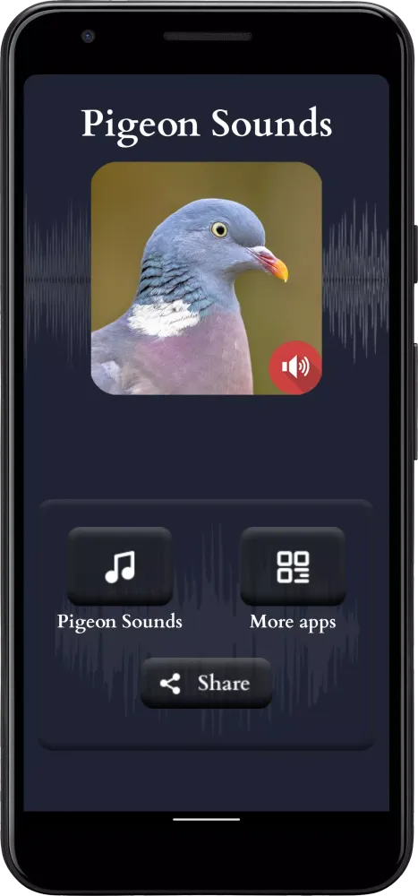 Ảnh chụp màn hình của Pigeon Sounds