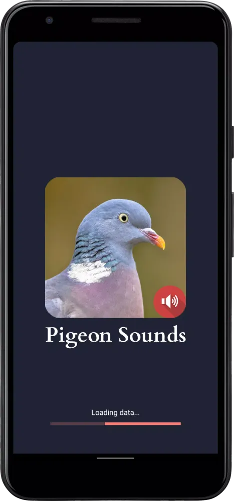 Ảnh chụp màn hình của Pigeon Sounds
