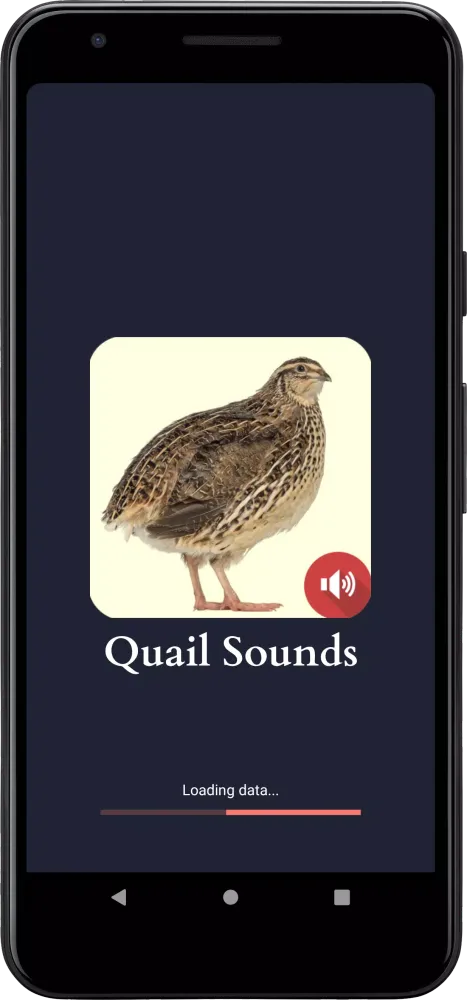 Quail Sounds Screenshots