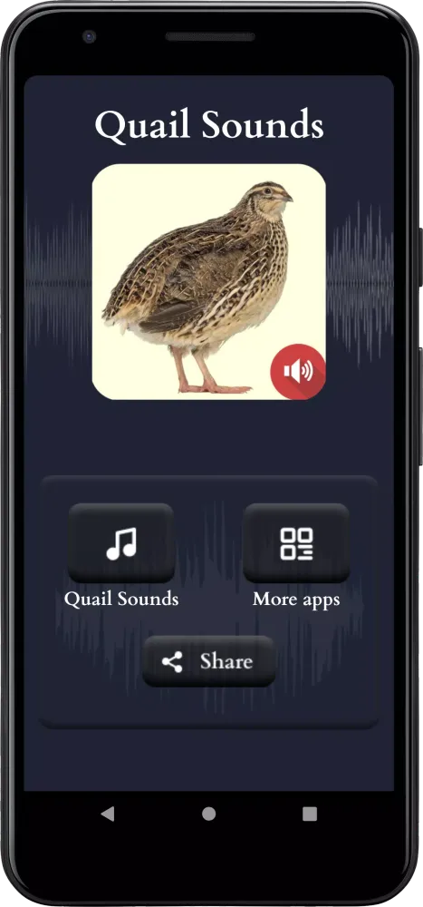 Quail Sounds Screenshots