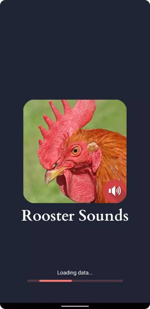 Capturas de pantalla de Rooster Sounds