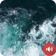 Sea Sounds