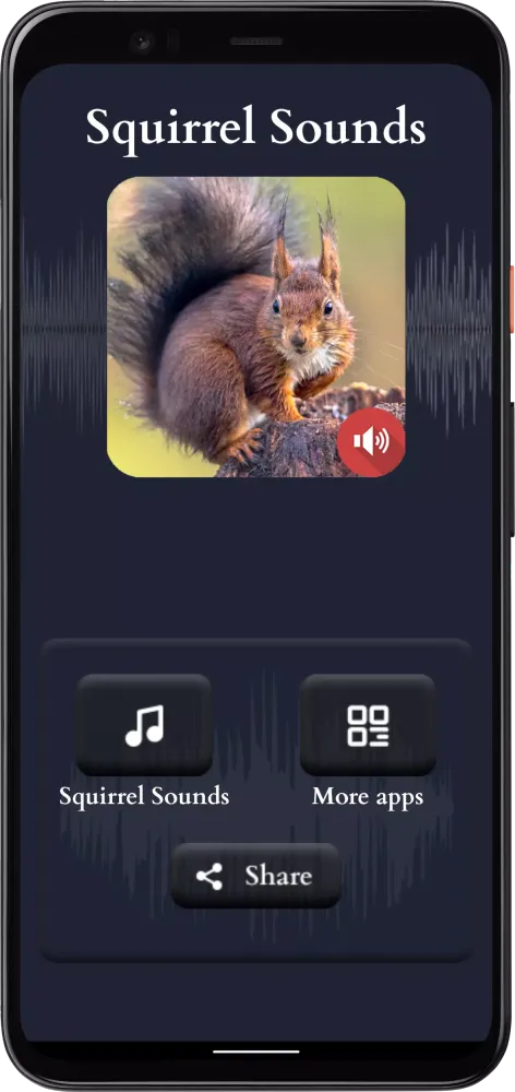 Squirrel Sounds স্ক্রিনশট