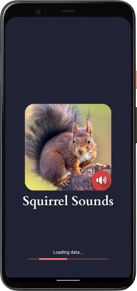 Squirrel Sounds স্ক্রিনশট