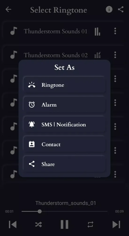 Thunderstorm Sounds應用截圖