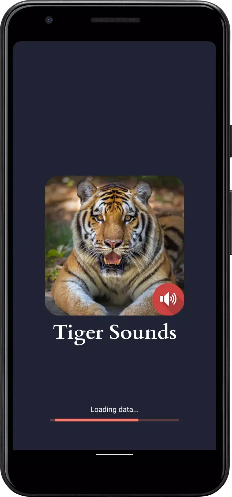 Tiger Sounds Ekran Görüntüleri