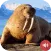 Walrus Sounds