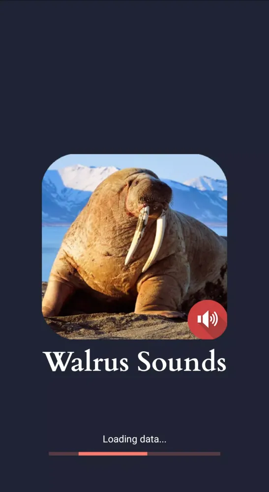 Walrus Sounds سکرین شاٹس
