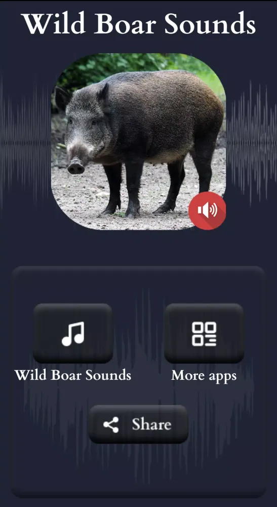 Wild Boar Sounds स्क्रीनशॉट