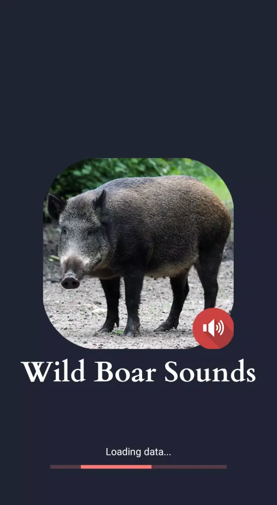 Wild Boar Sounds स्क्रीनशॉट