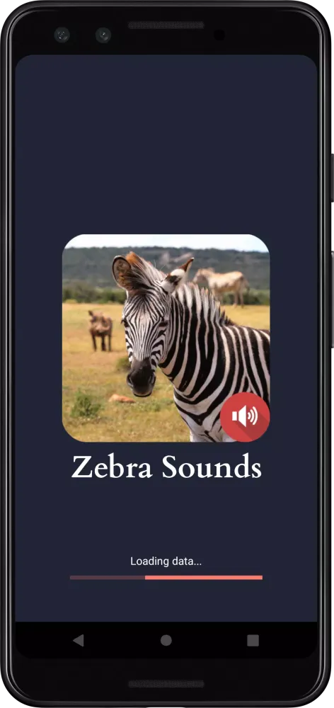 Zebra Sounds Screenshots