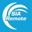 Secure Internet Access Remote