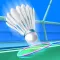 Badminton super league 3D