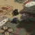 AR Tank Battle