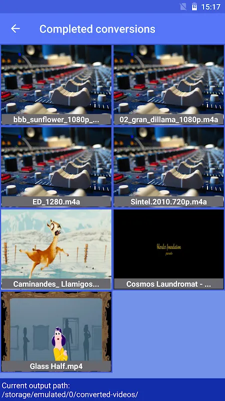 Video Converter 스크린샷