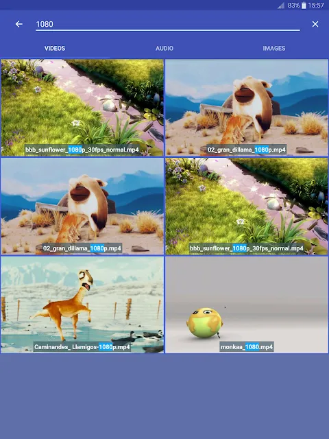 Video Converter 스크린샷