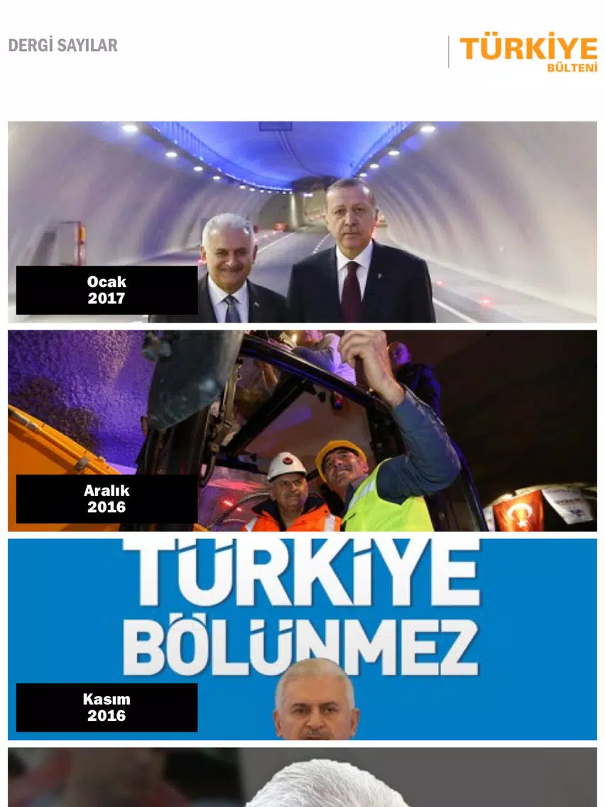 Türkiye Bülteni iPad 应用截图