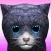 KittyZ, my virtual pet