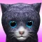 KittyZ, my virtual pet