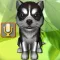 Talking Puppies, virtual pets to care, your virtual pet doggie to take care and play