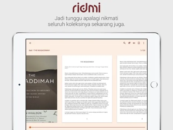 ภาพหน้าจอของ Ridmi iPad 