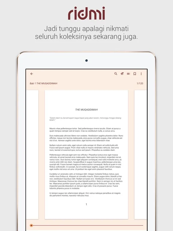 ภาพหน้าจอของ Ridmi iPad 
